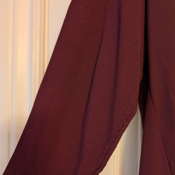 Elegant V-Neck Burgundy Blouse - Picture 3 of 3